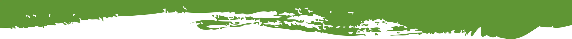 Green Grunge Graphic
